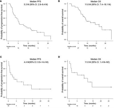 Pembrolizumab monotherapy for untreated PD-L1-Positive non-small cell lung cancer in the elderly or those with poor performance status: A prospective observational study